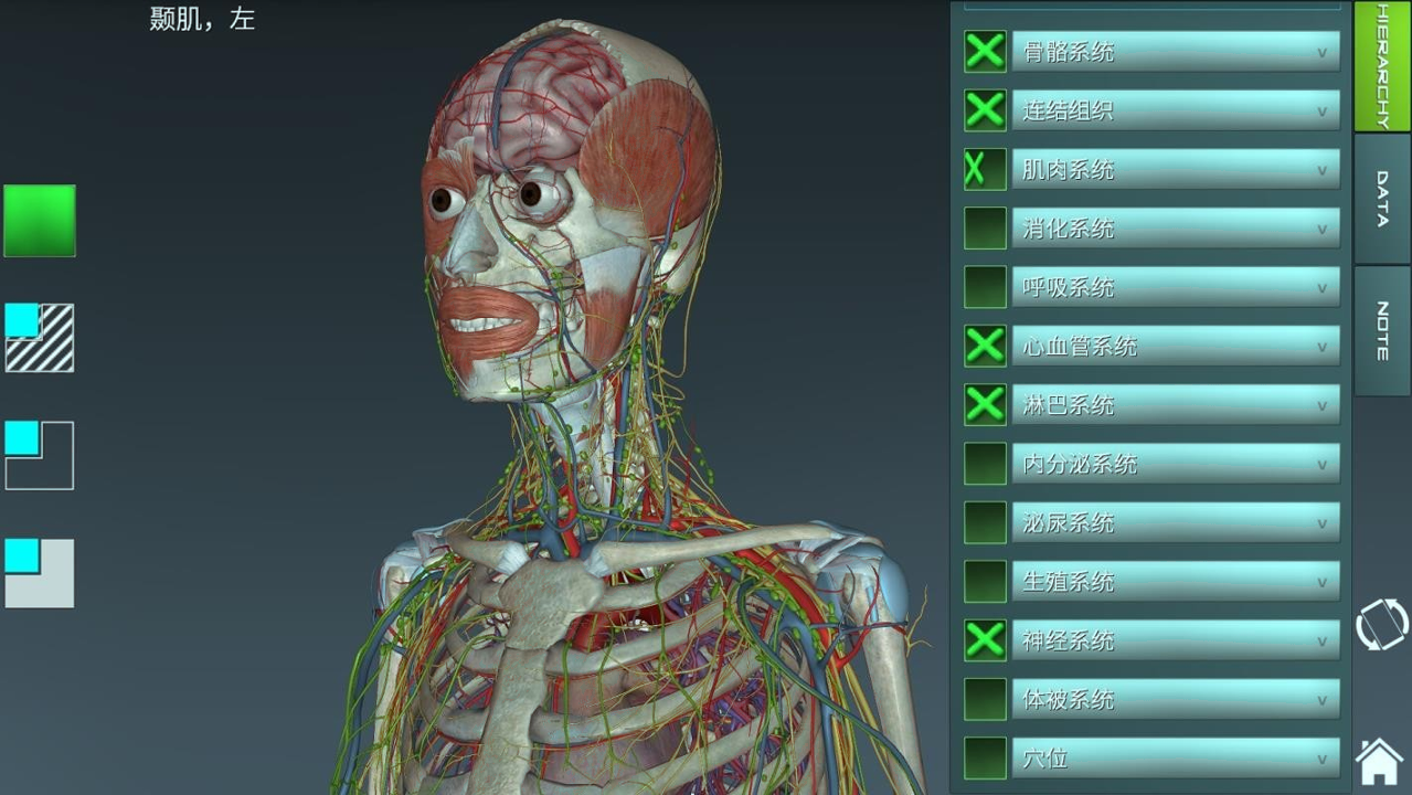 人体解剖学图集 截图2
