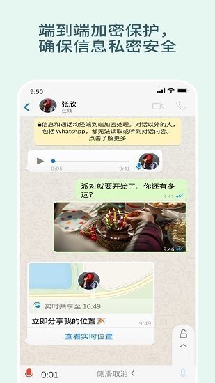 whatsapp官网版安卓手机版 截图2